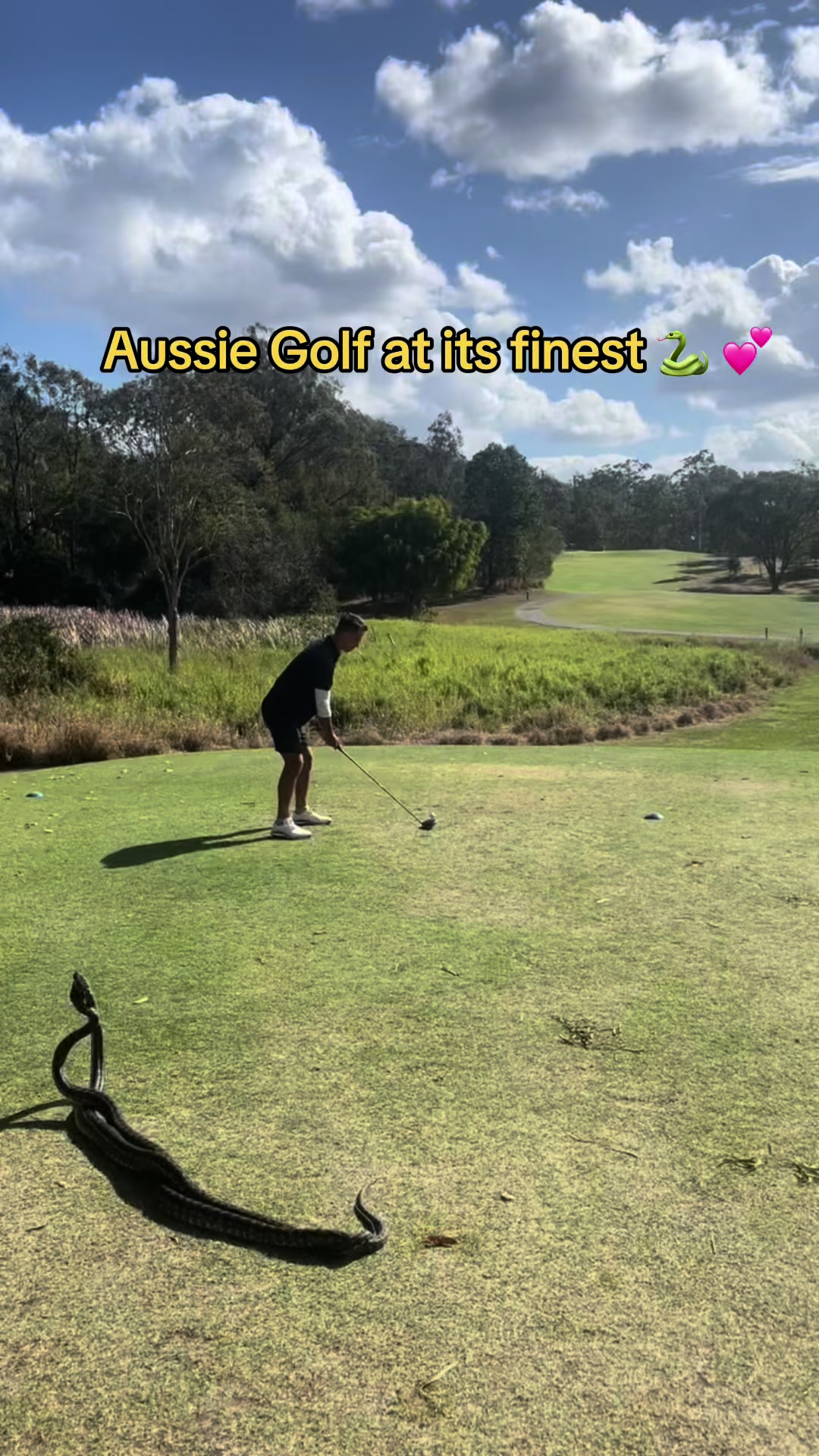 @Golf Junkie