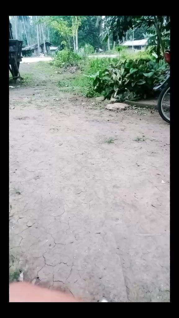 @Jumpong