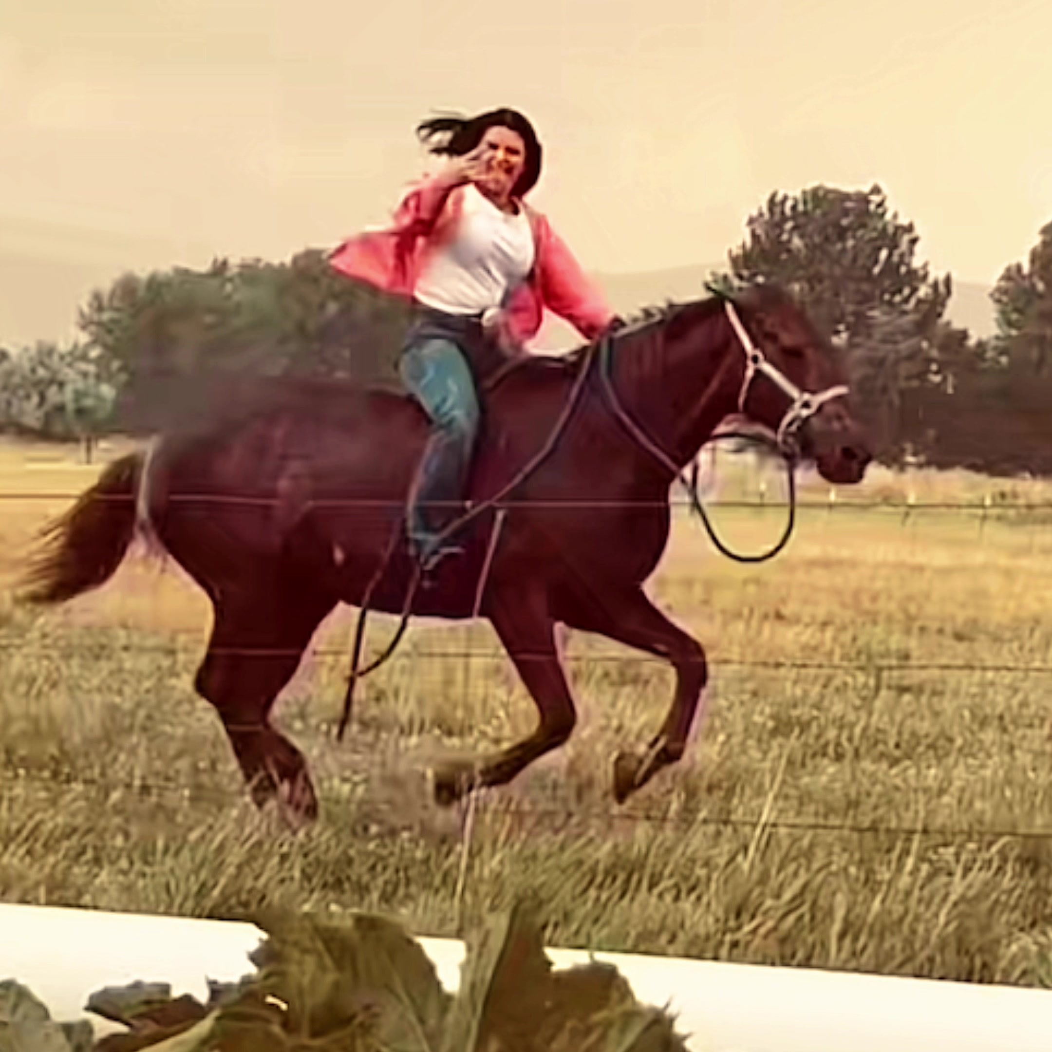 @{𐂃EquestrianEdits.X0X0𐂃}