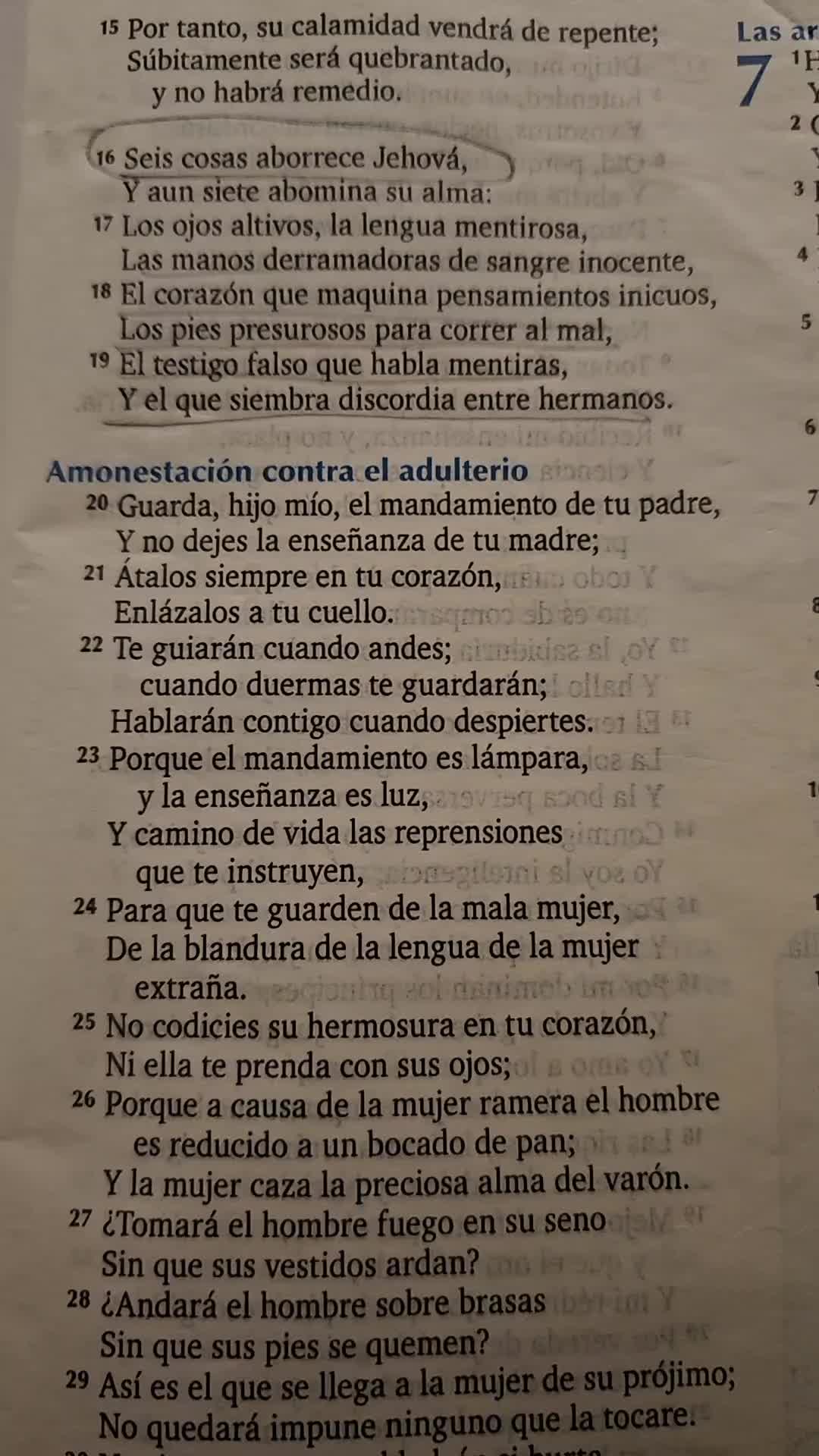 @tereso