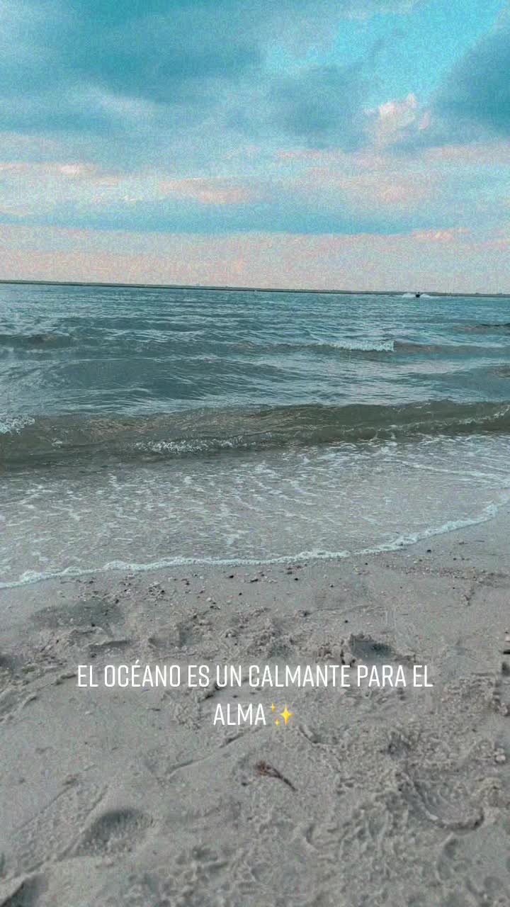 @🦋Sawy💜