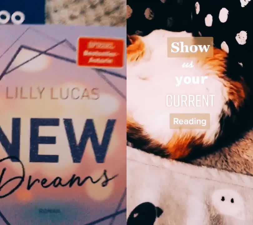 @Romanticbooklover