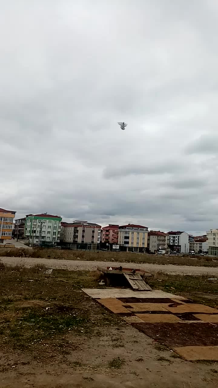 @Kenan Öztürk