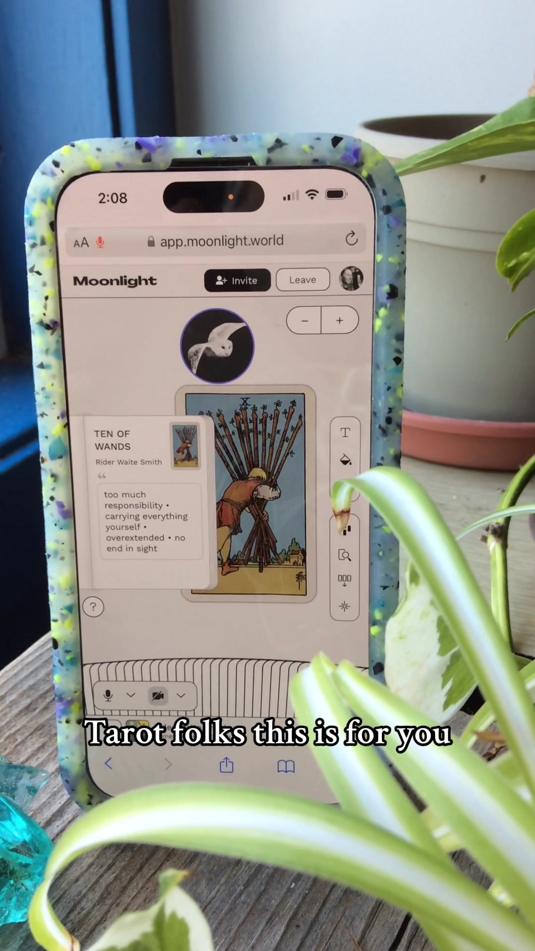 @Moonlight Tarot