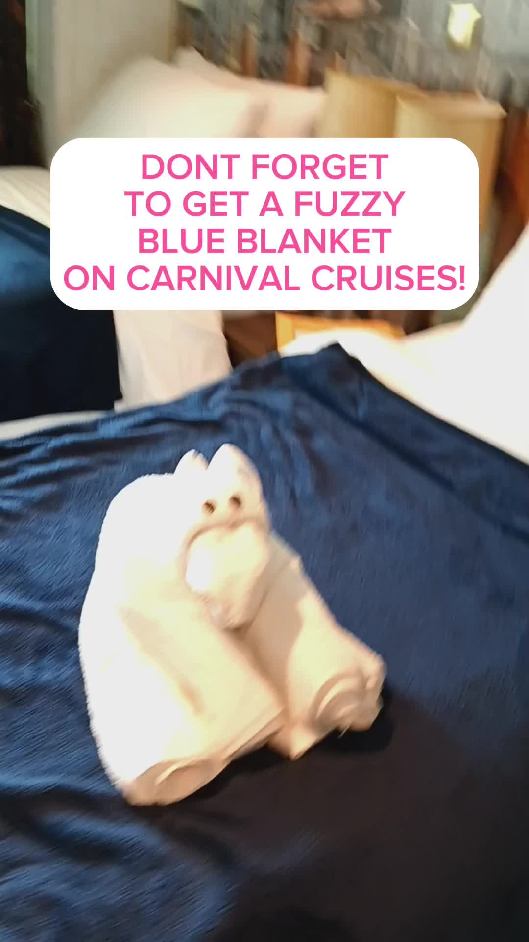 @Ashley💕Cruising on a budget!
