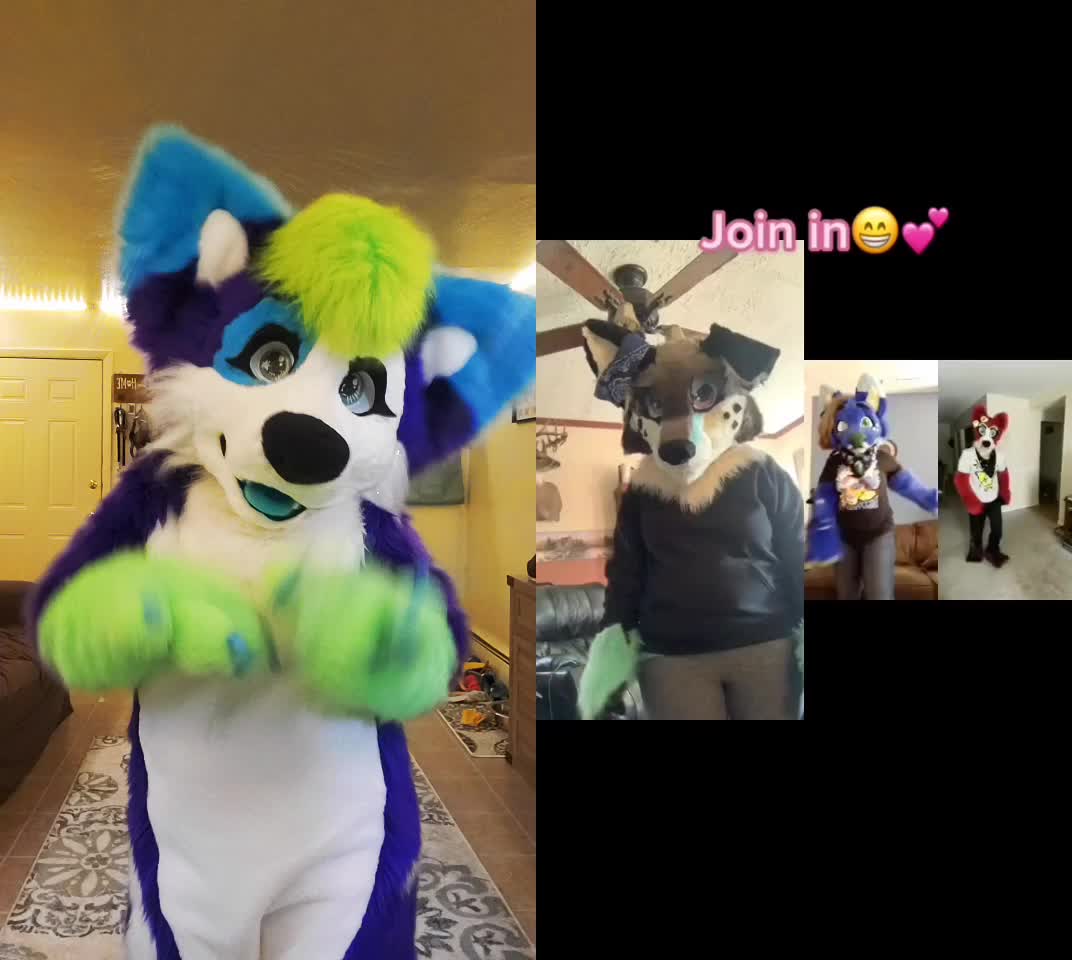 @Luna Husky