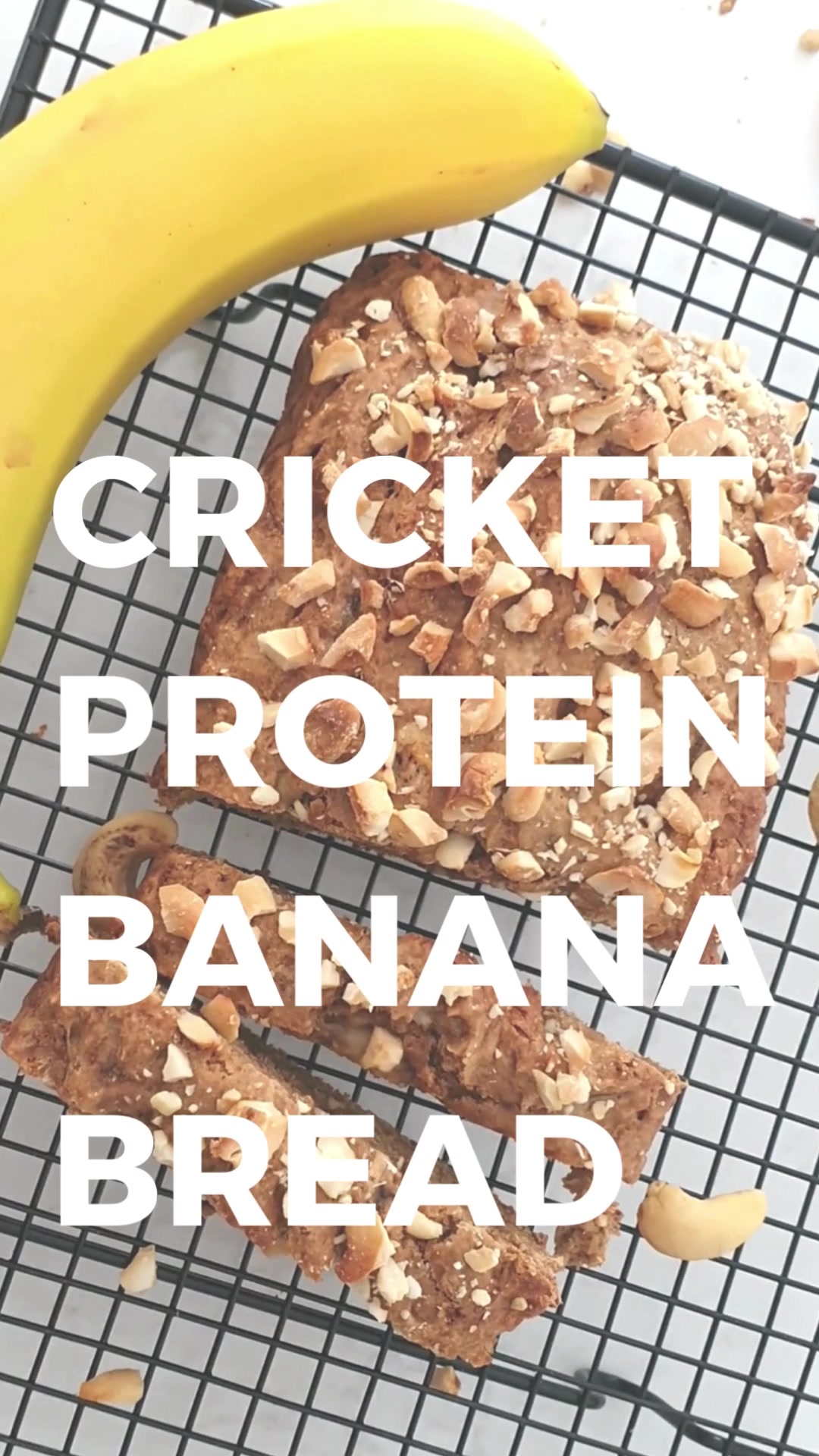 @proteincricket