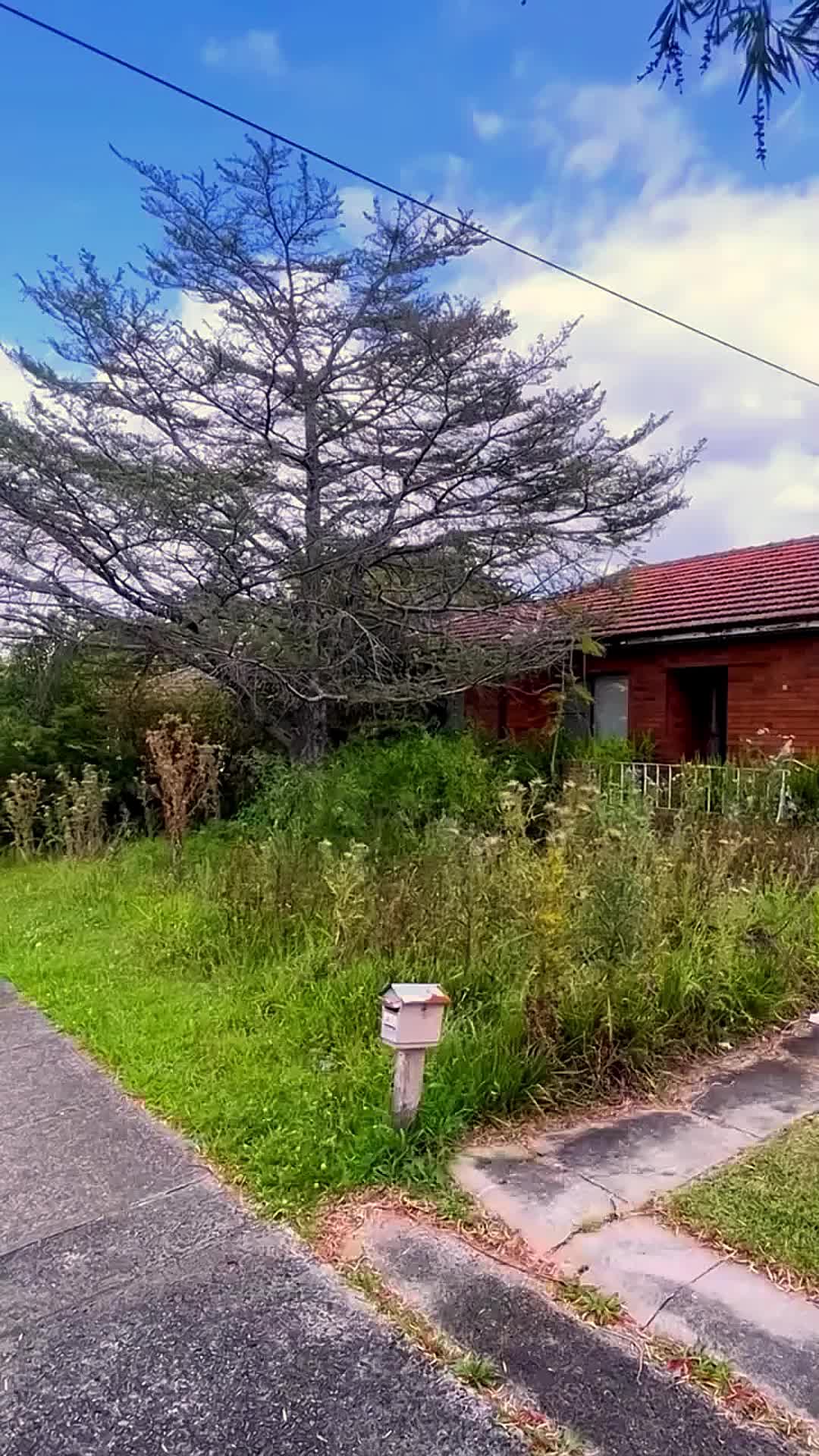 @treeplant_gardening