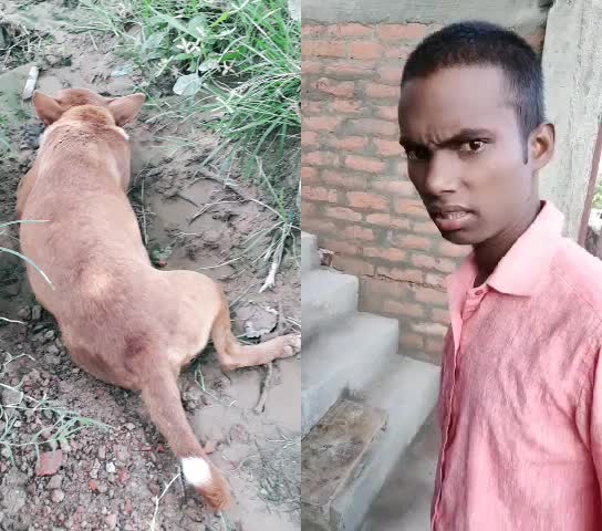 @Adil Khan
