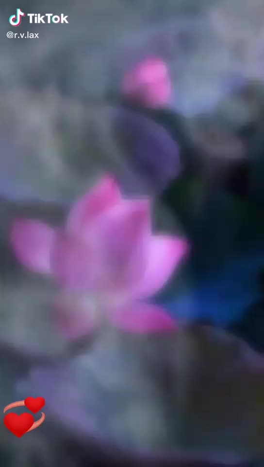 @user319060