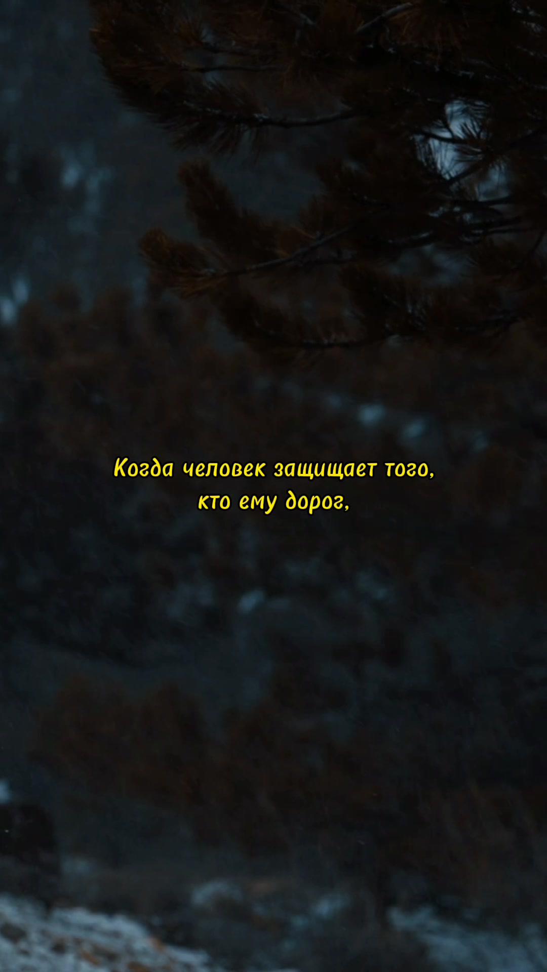 @цитаты/эдиты