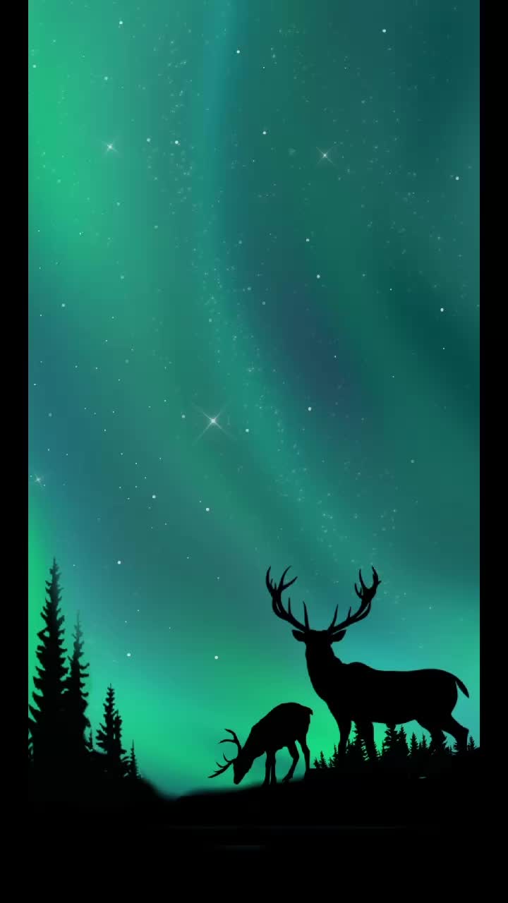@Aayush Yadav