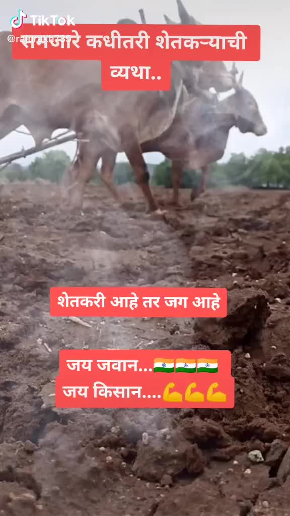 @user2163709311032