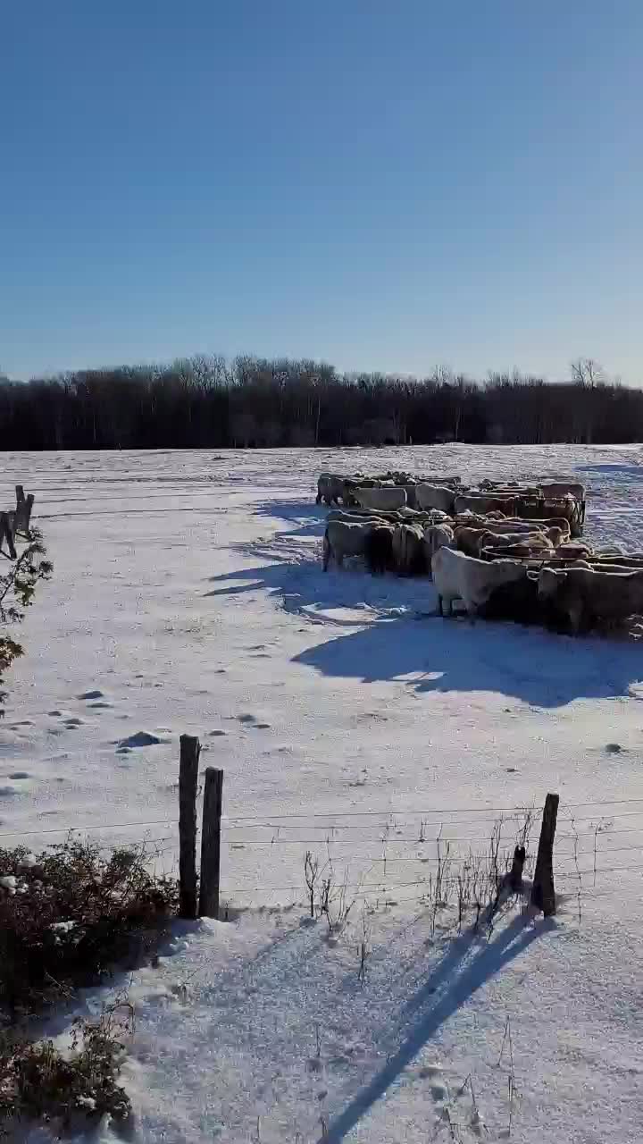 @grandview.manitoulin