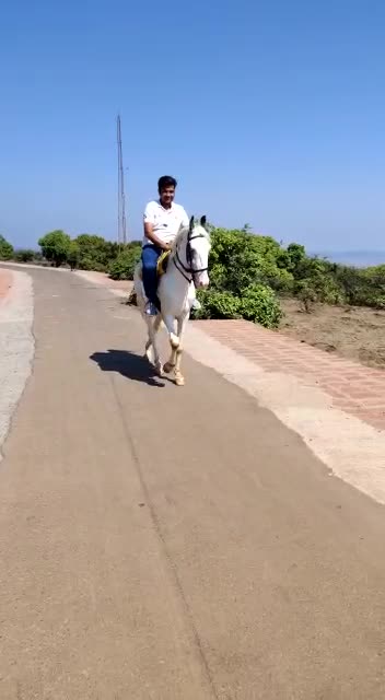 @Kaushik (Kp)