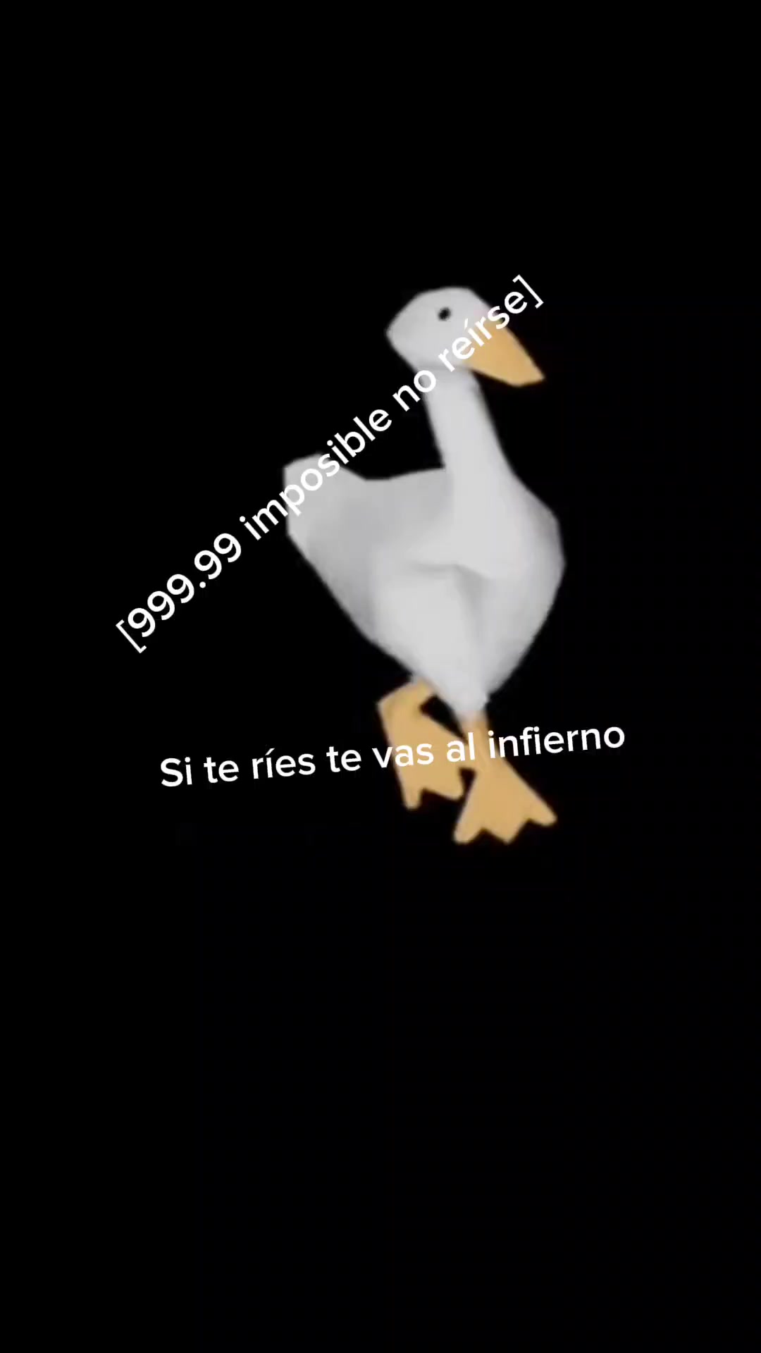 @Dylan