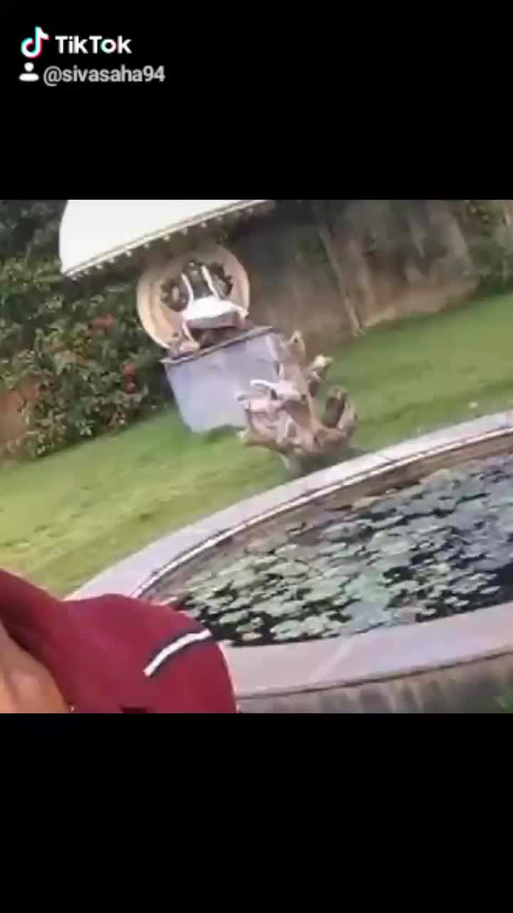 @sivaprakash