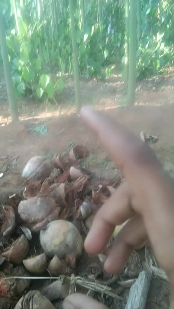 @BeereshHD