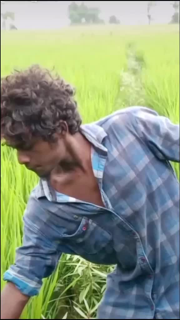 @vishva