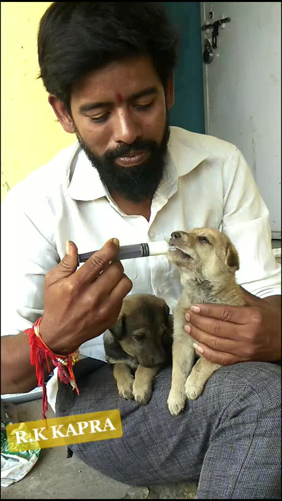 @Raj Kumar {RK}