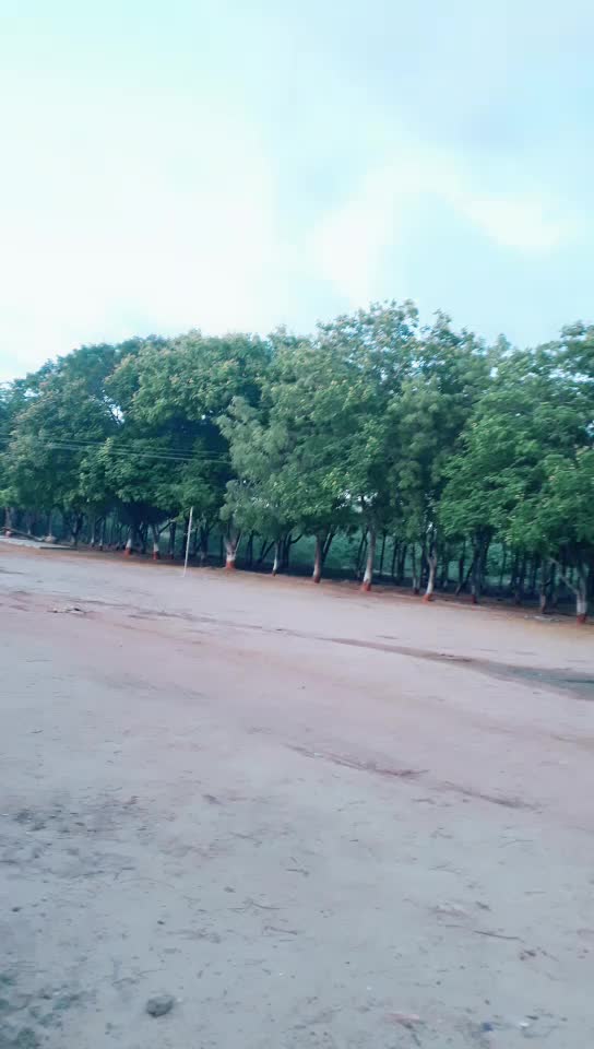 @N.B. Mudiya