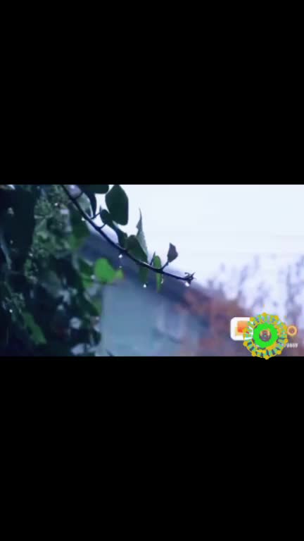 @Sreekutty K Manoj