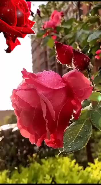 @naagar Saab ๐๐