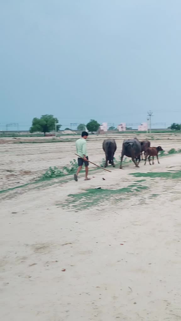 @Rajesh Kr
