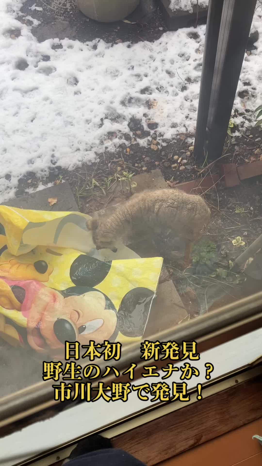 @樺澤潤エンタメプロデューサー