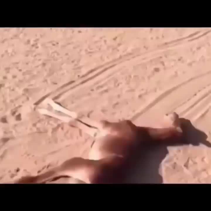 @tarki_horses05