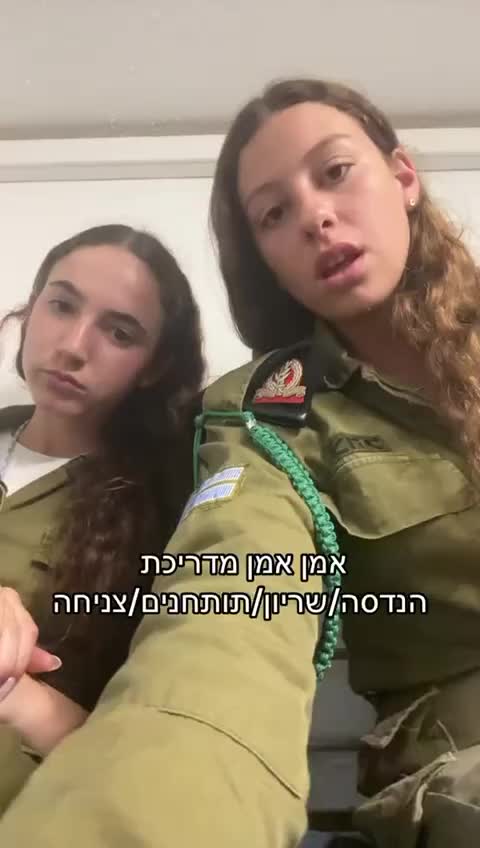 @Shirasternn