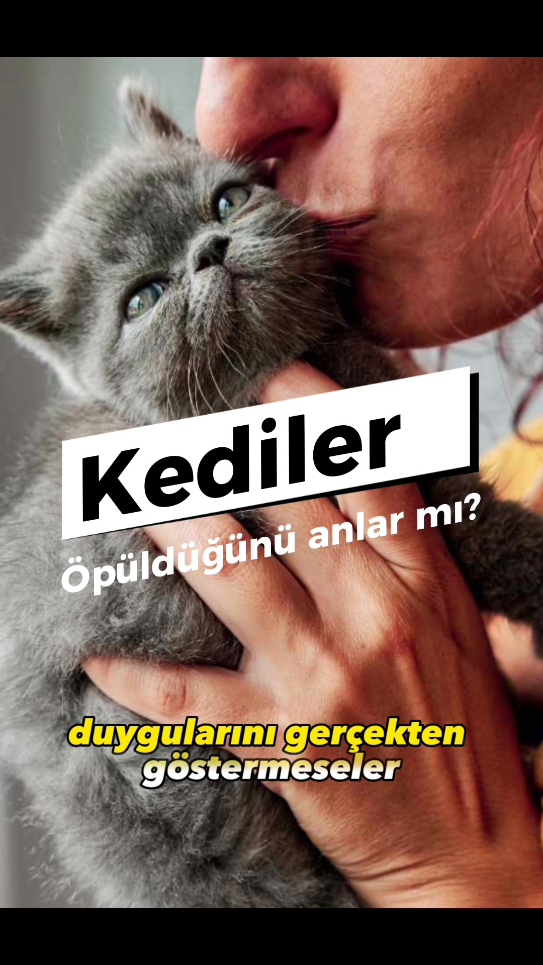 @zekadolabi