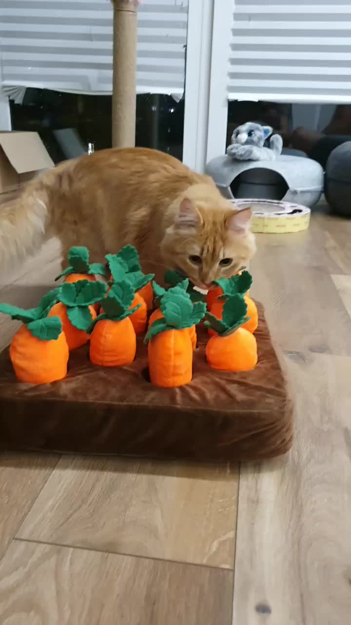 @PawzPot_com
