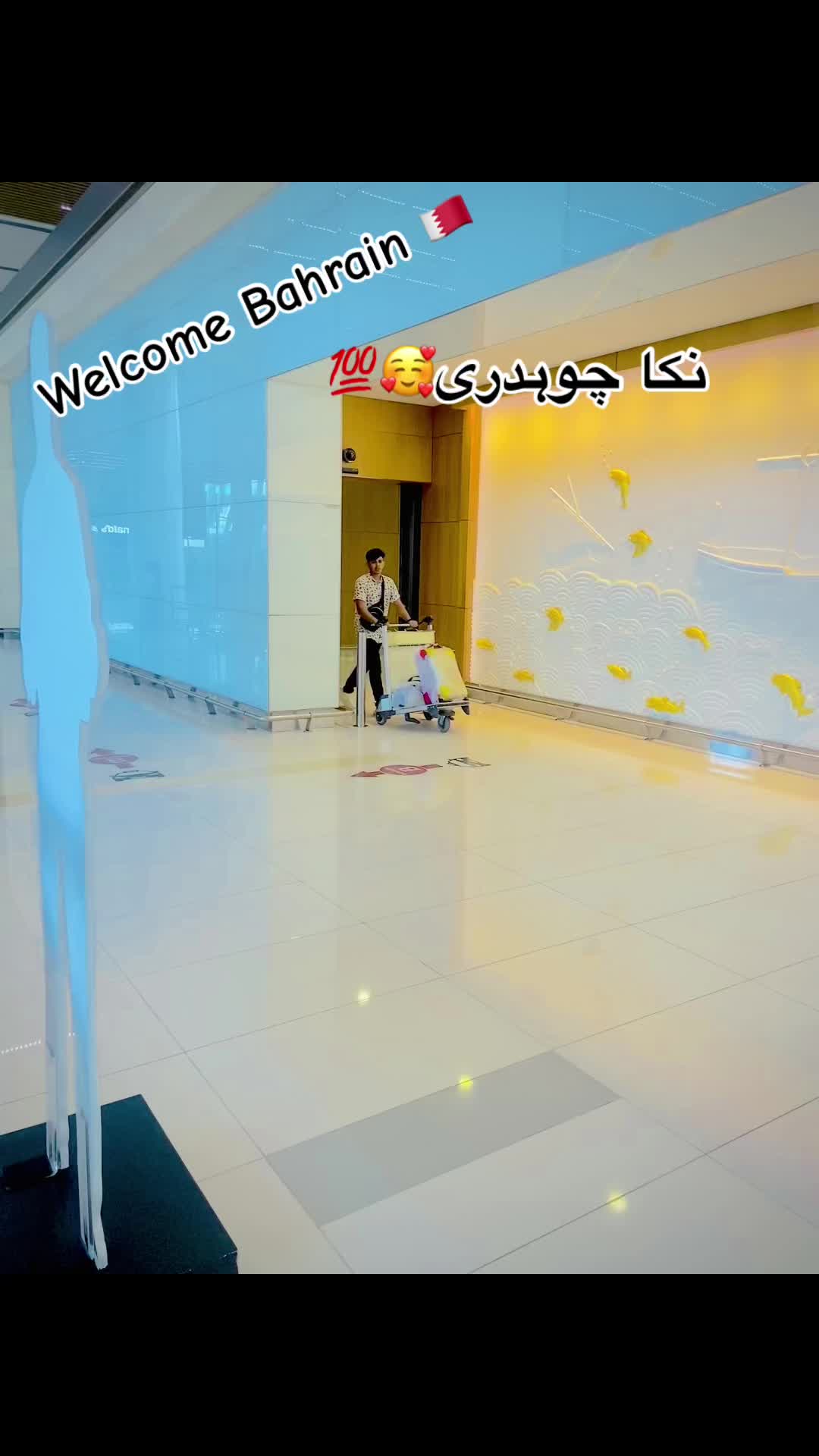 @Muhammad Hamid