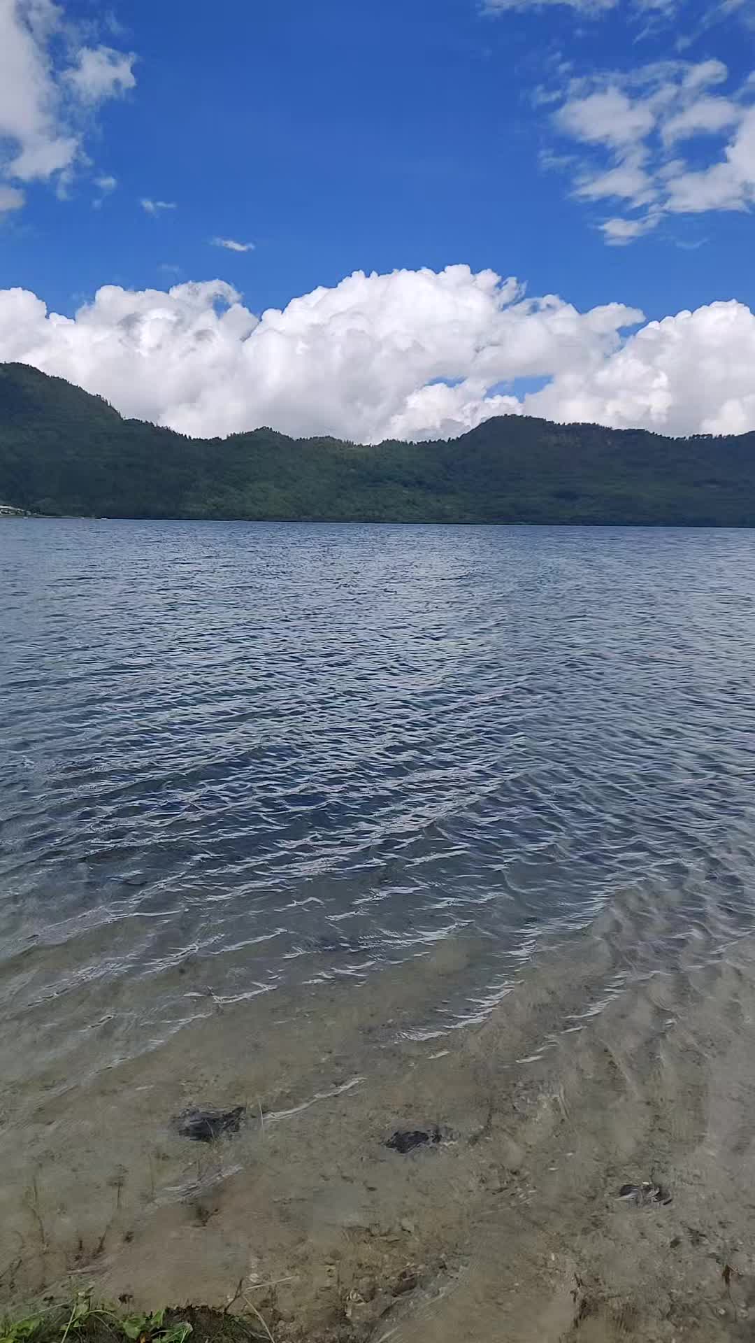 @vandri_pratik