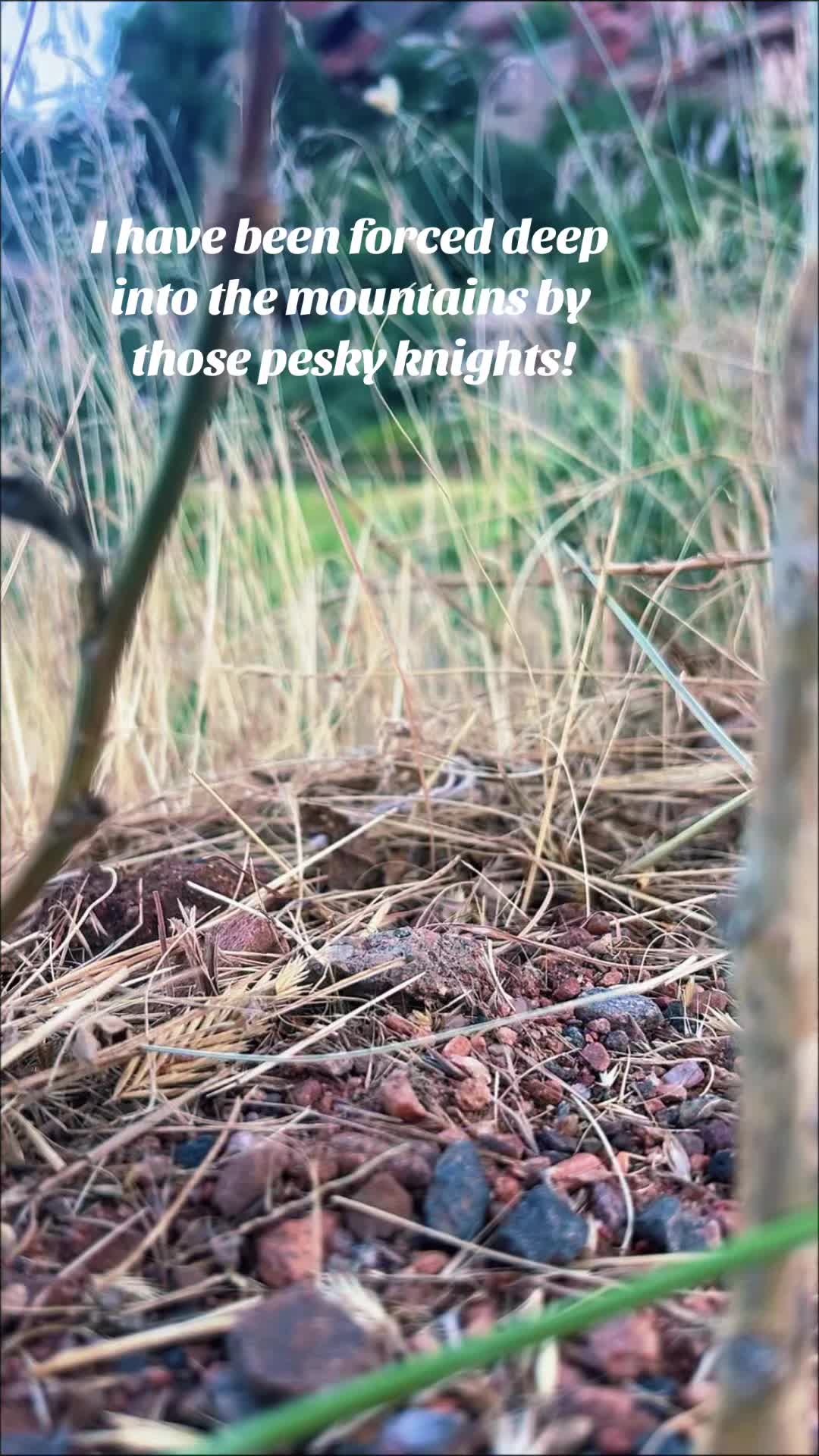 @Asa