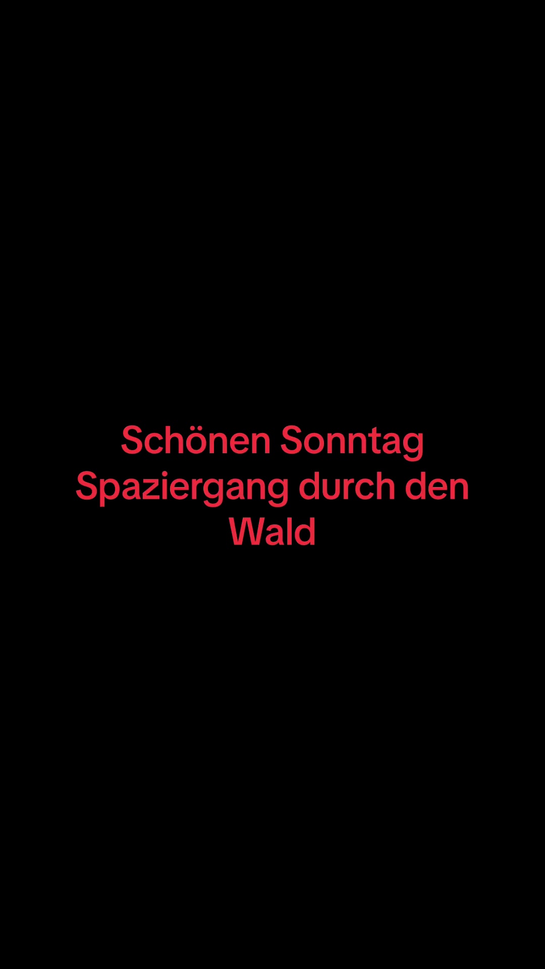 @Lisa Wegener