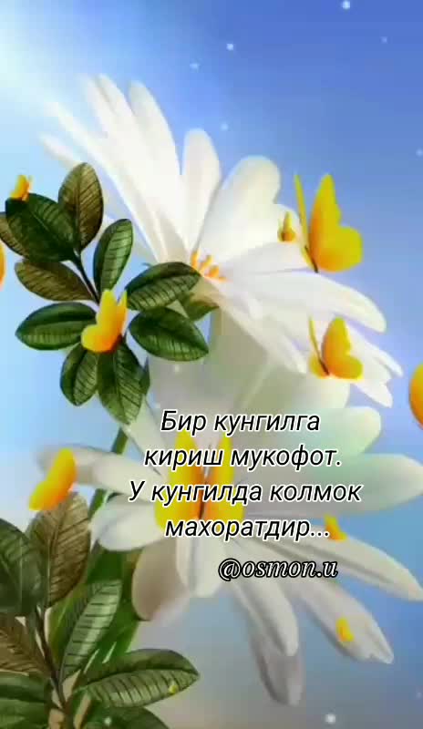 @Океан