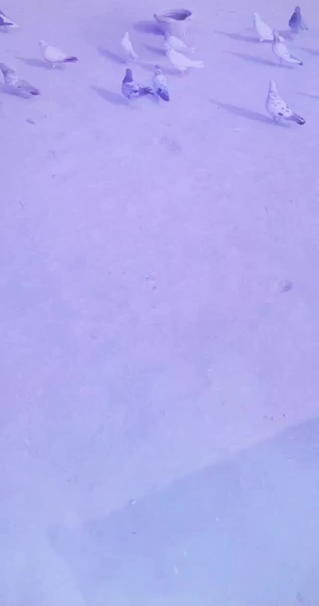 @teradeep8977