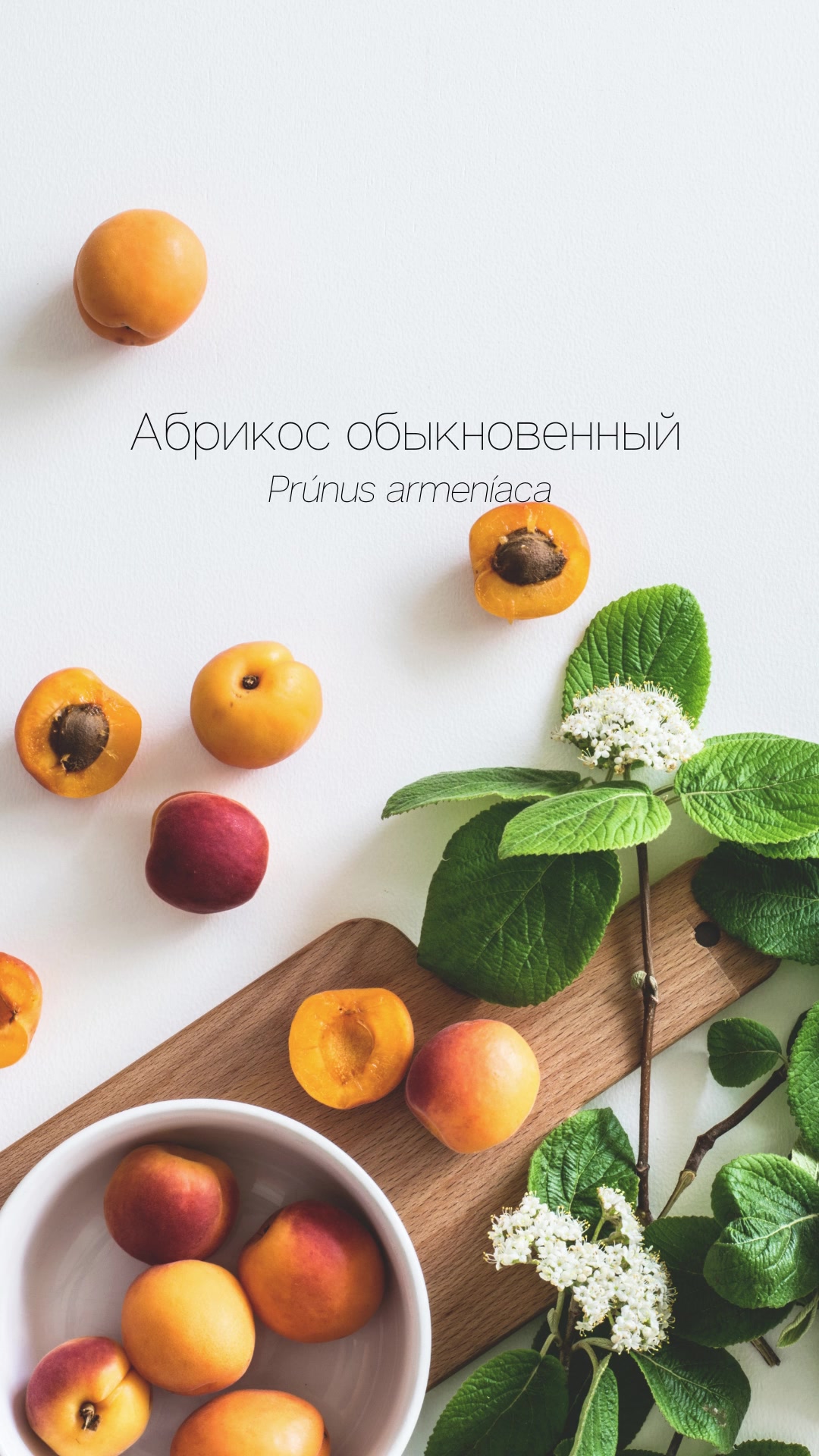 @Juliya Afoshina