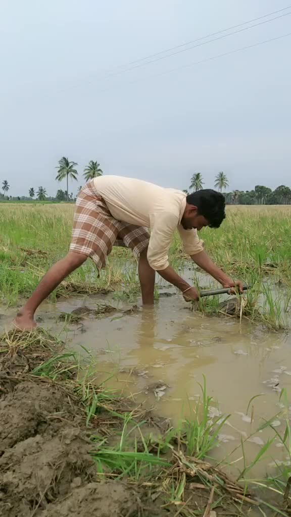@veera venkata kishor