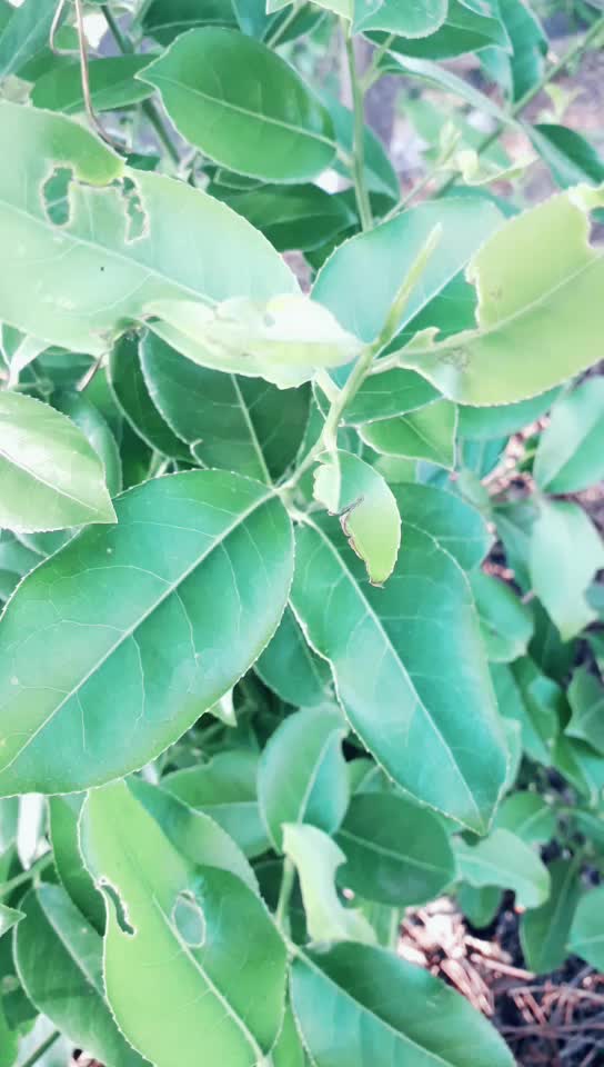 @Nandhu Nandhu