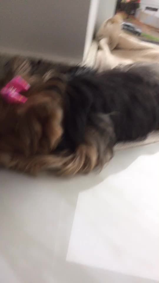 @Cacau Luiza