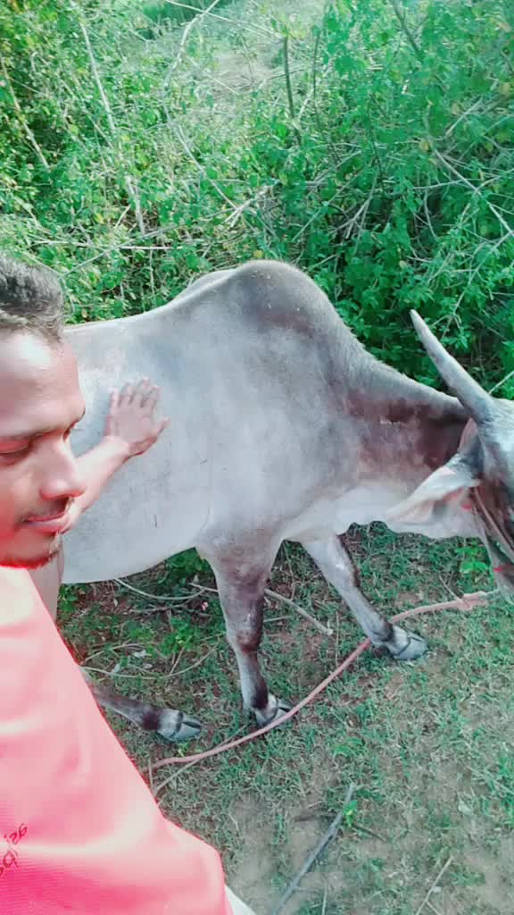 @MS govindaraj