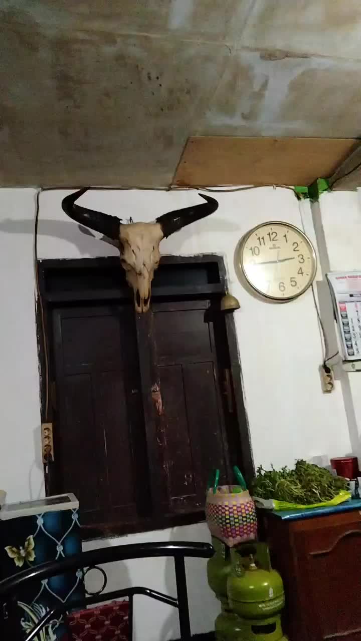@𝑨𝒓𝒖𝒃𝒂𝒌𝒊 ORIGINAL