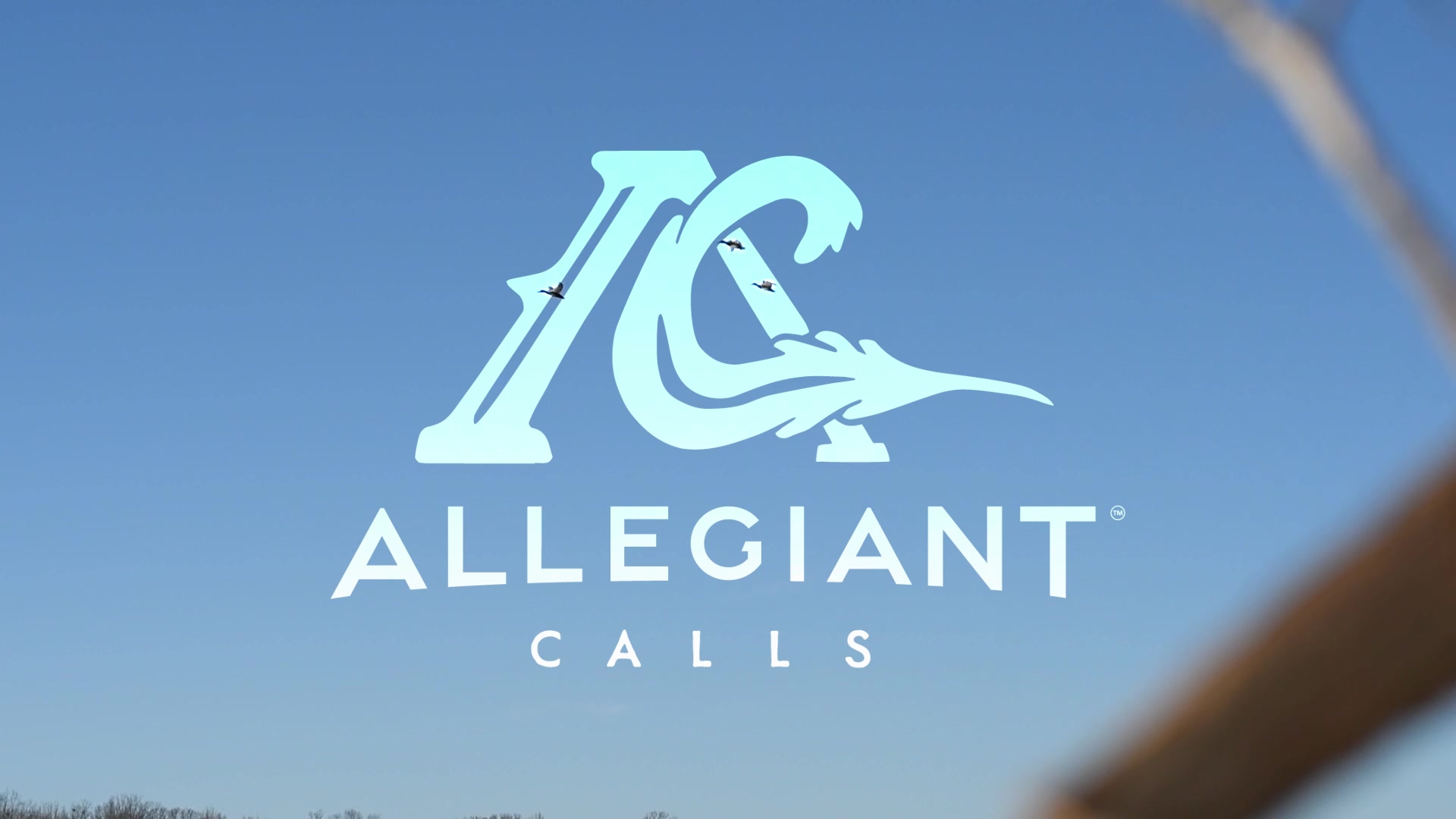 @Allegiant Calls