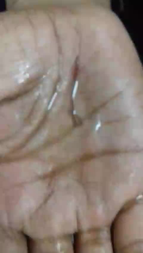 @Rajveer.14
