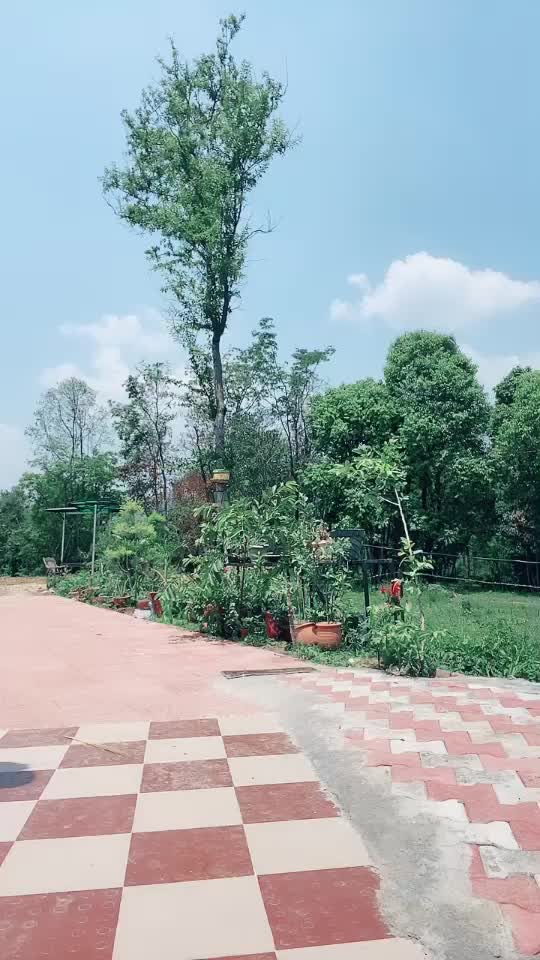 @Rishikakaushal