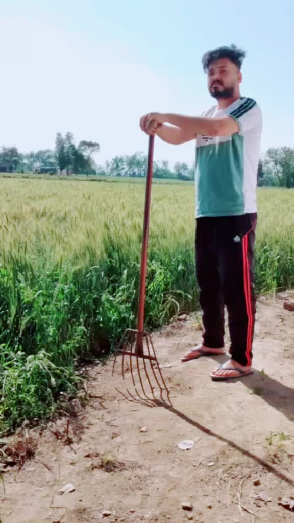 @ਬਾਮਣ