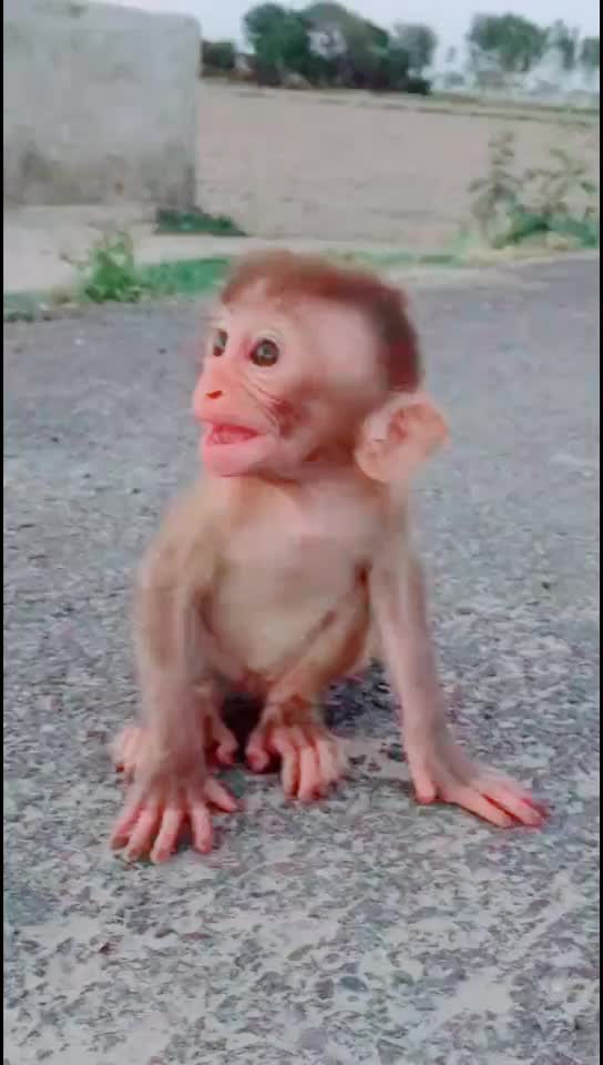@Pawan Bidlan